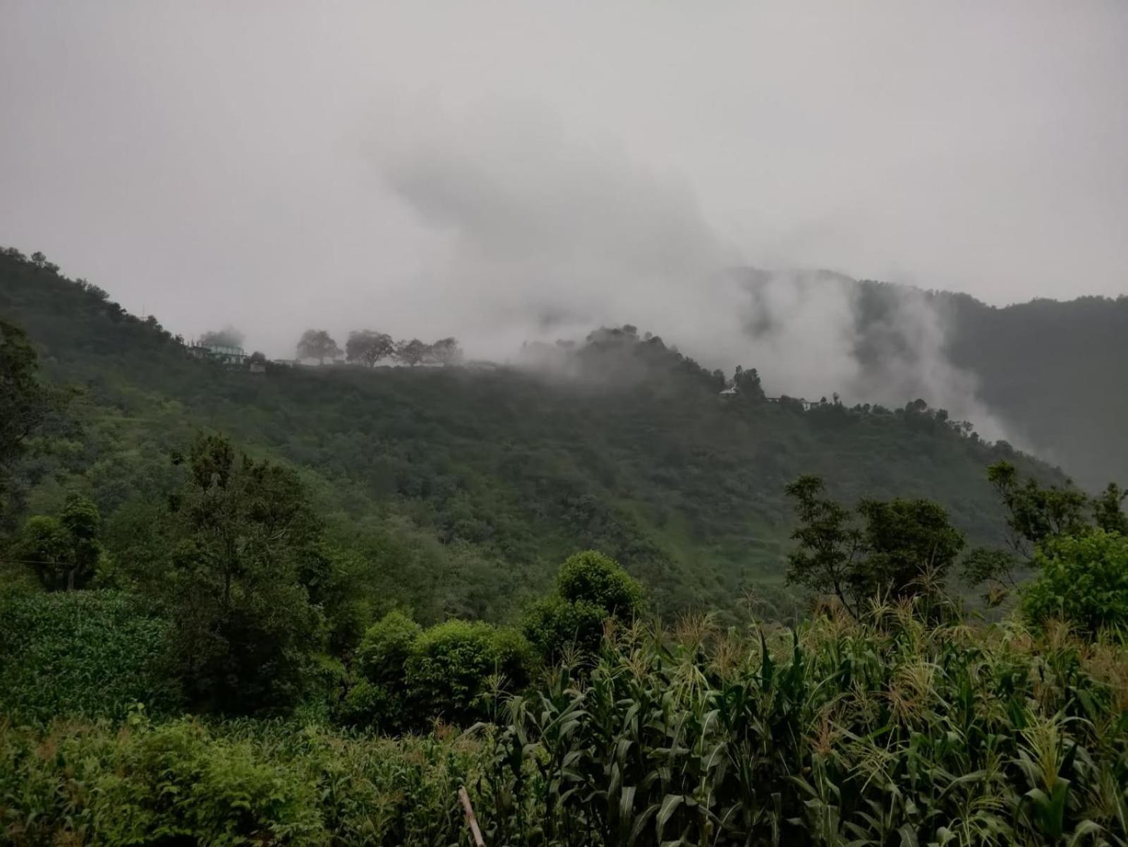 Hotel Le Halcyon , Kasauli Solan Dış mekan fotoğraf